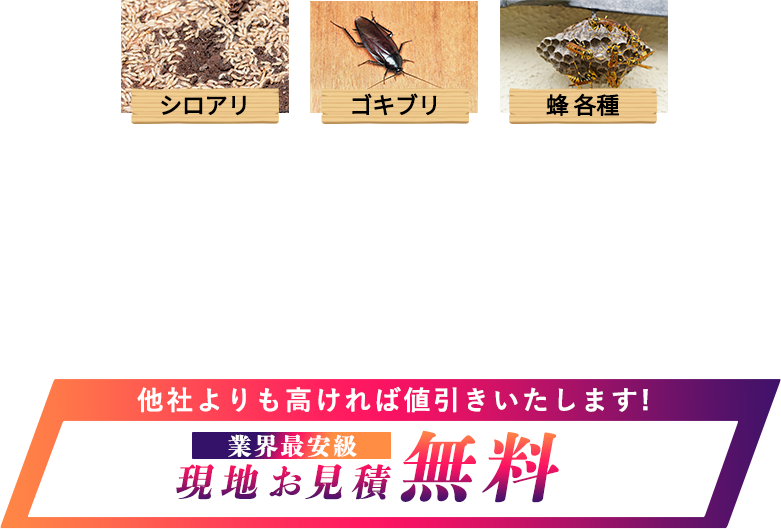 迷惑な害虫119番 即日害虫駆除 業界最安級 ¥550〜