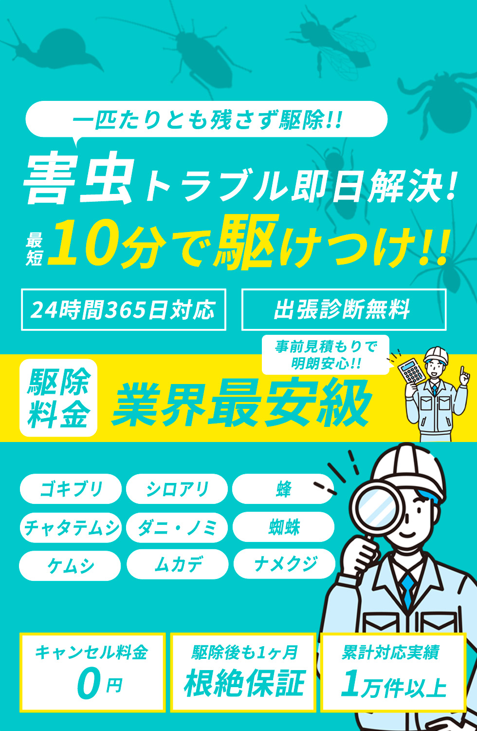 迷惑な害虫119番 即日害虫駆除 業界最安級 ¥3,980〜